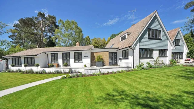 Plants And Lawn